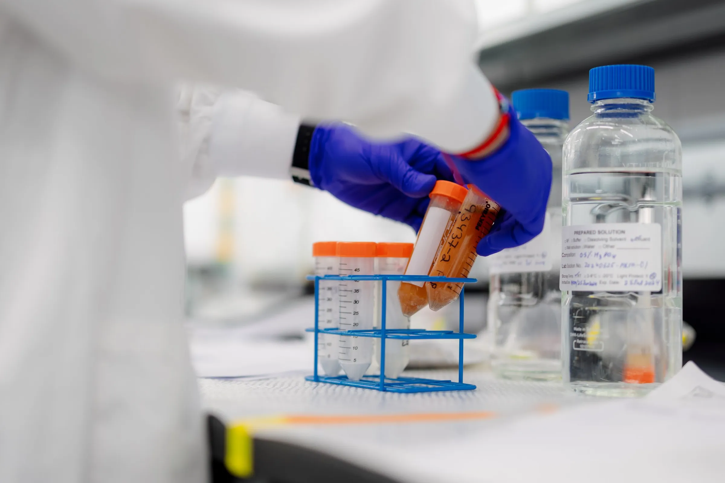Pathogenia — 062524+Pathogenia-+Nicolas+Abou+Photographe+-+3C9A1083