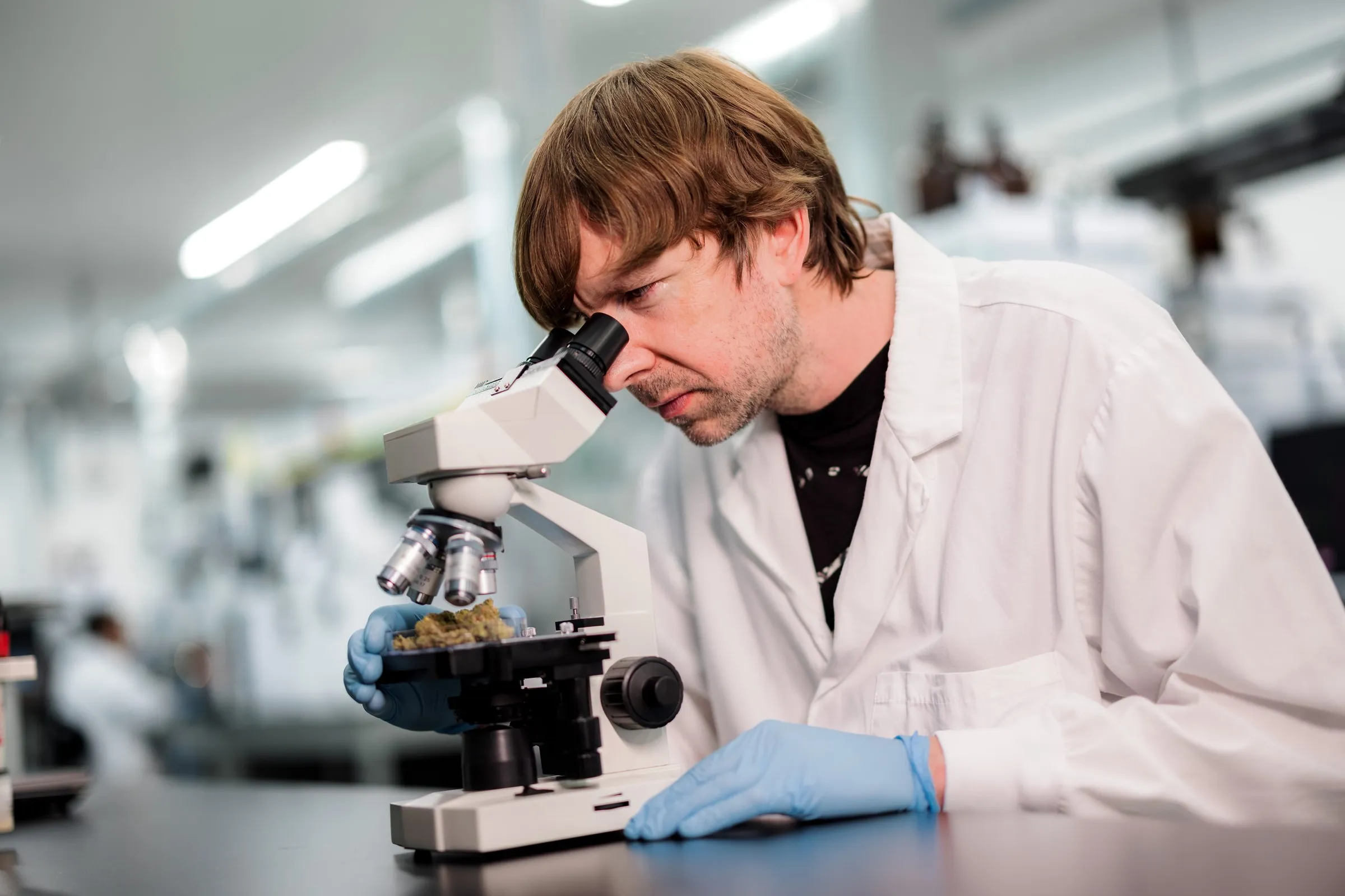Pathogenia — 062524+Pathogenia-+Nicolas+Abou+Photographe+-+3C9A1303