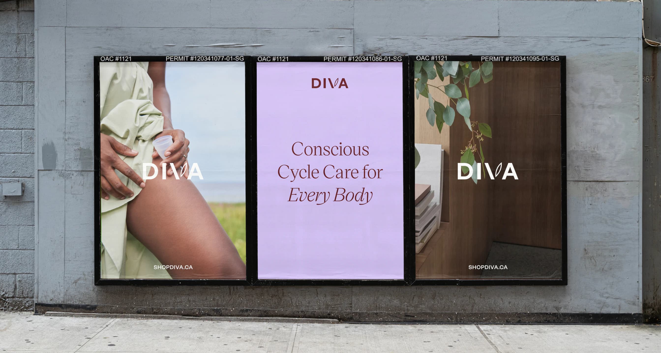 DivaCup — DIVA - Conscious Cycle Care for Every Body, out of home