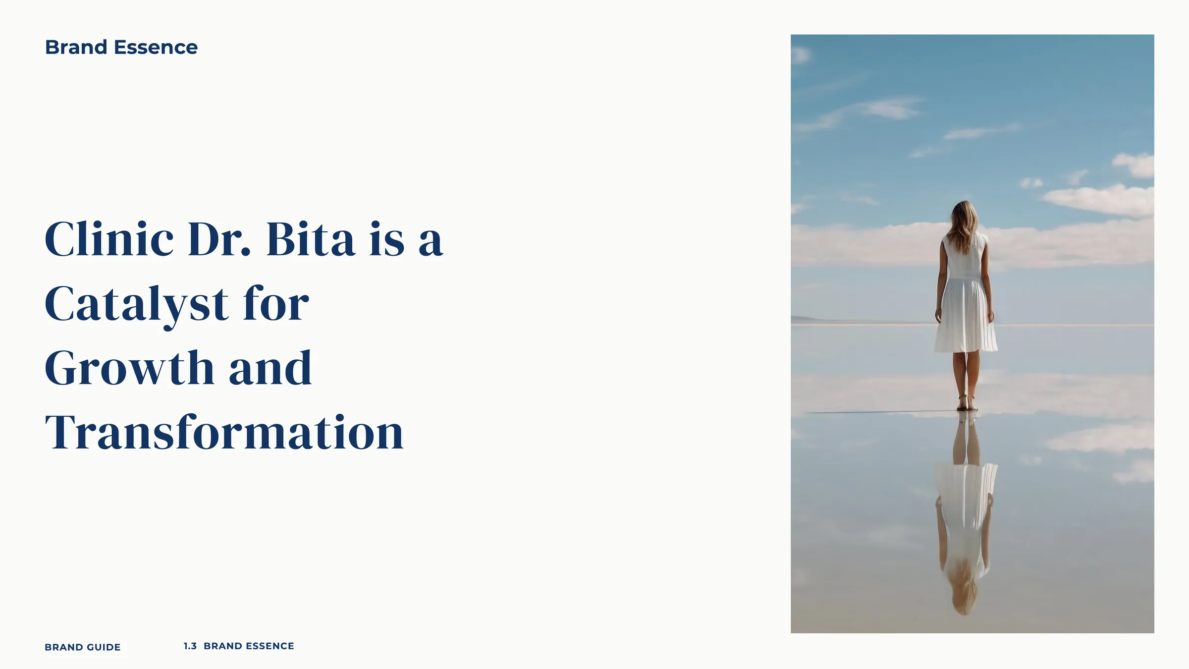 Dr.Bita · House of Brands — Dr.Bita - brand essence, catalyst for growth