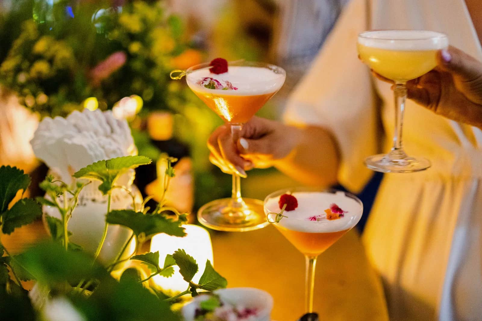 Hendrick's Gin — Hendrick's Gin · Flora Adora