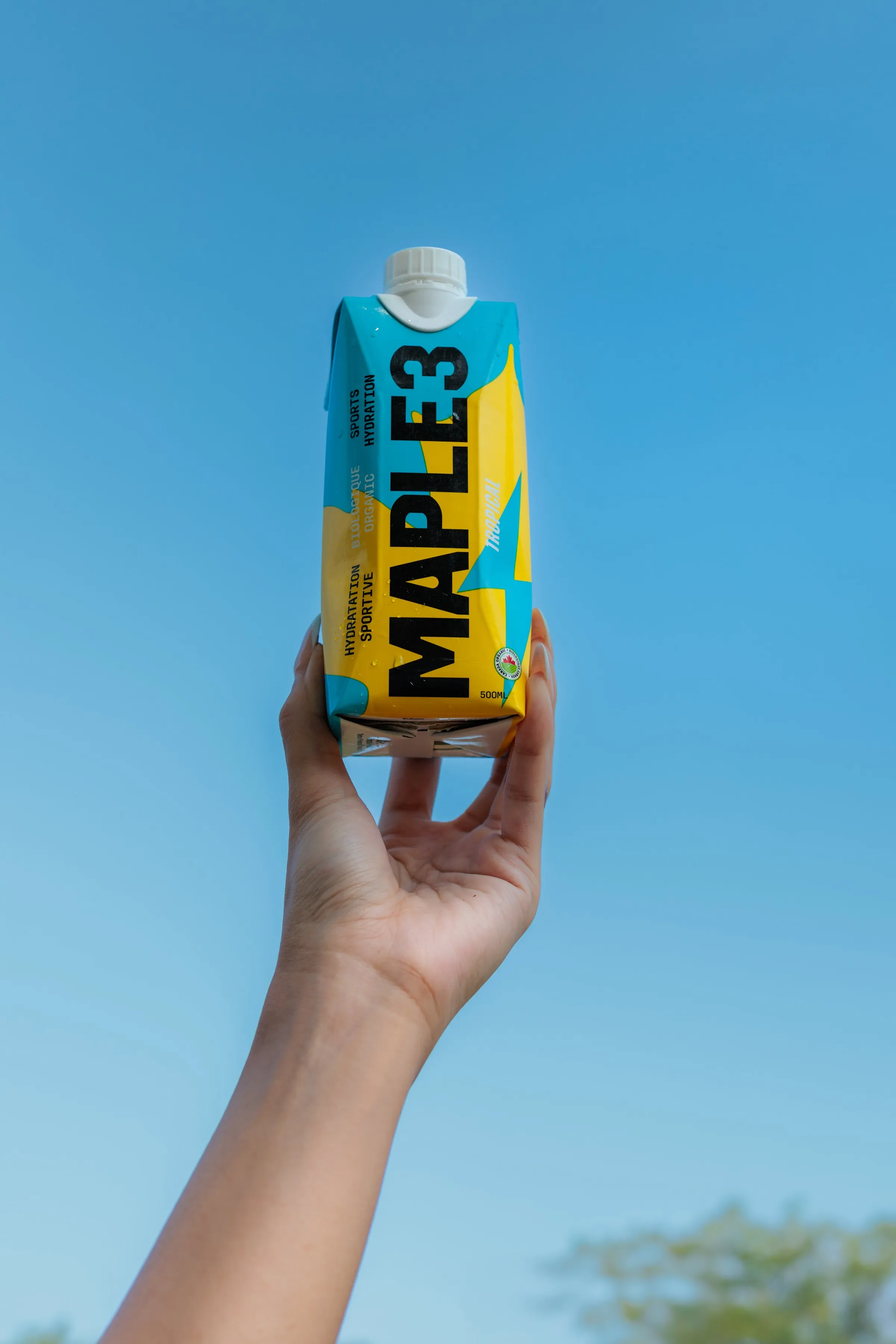 Maple 3 — Nicolas+Abou-+Origine+Studio+-+0N0A4238