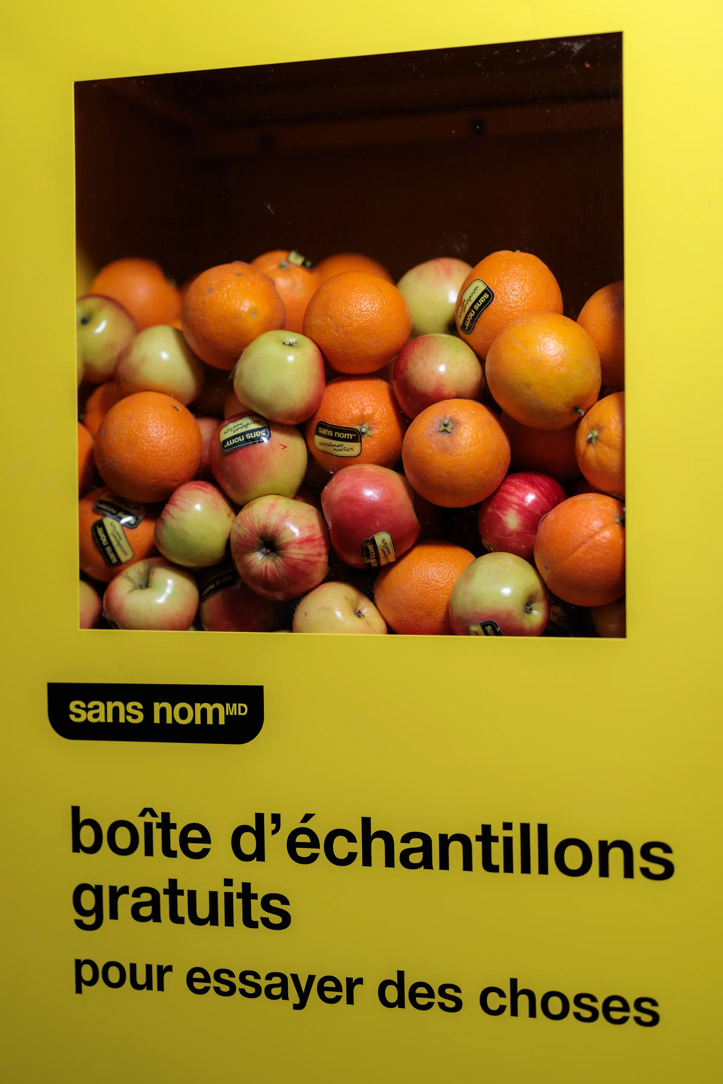 No Name — Nicolas Abou- Origine Studio - 0N0A4937